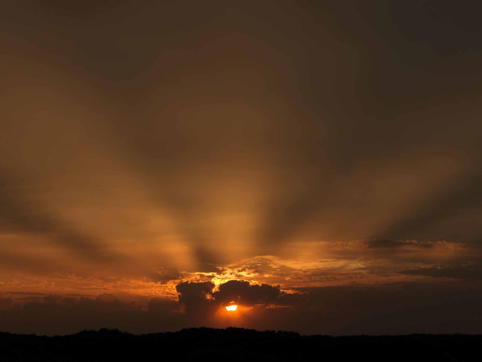 Sun rays spreading above dark clouds at sunset