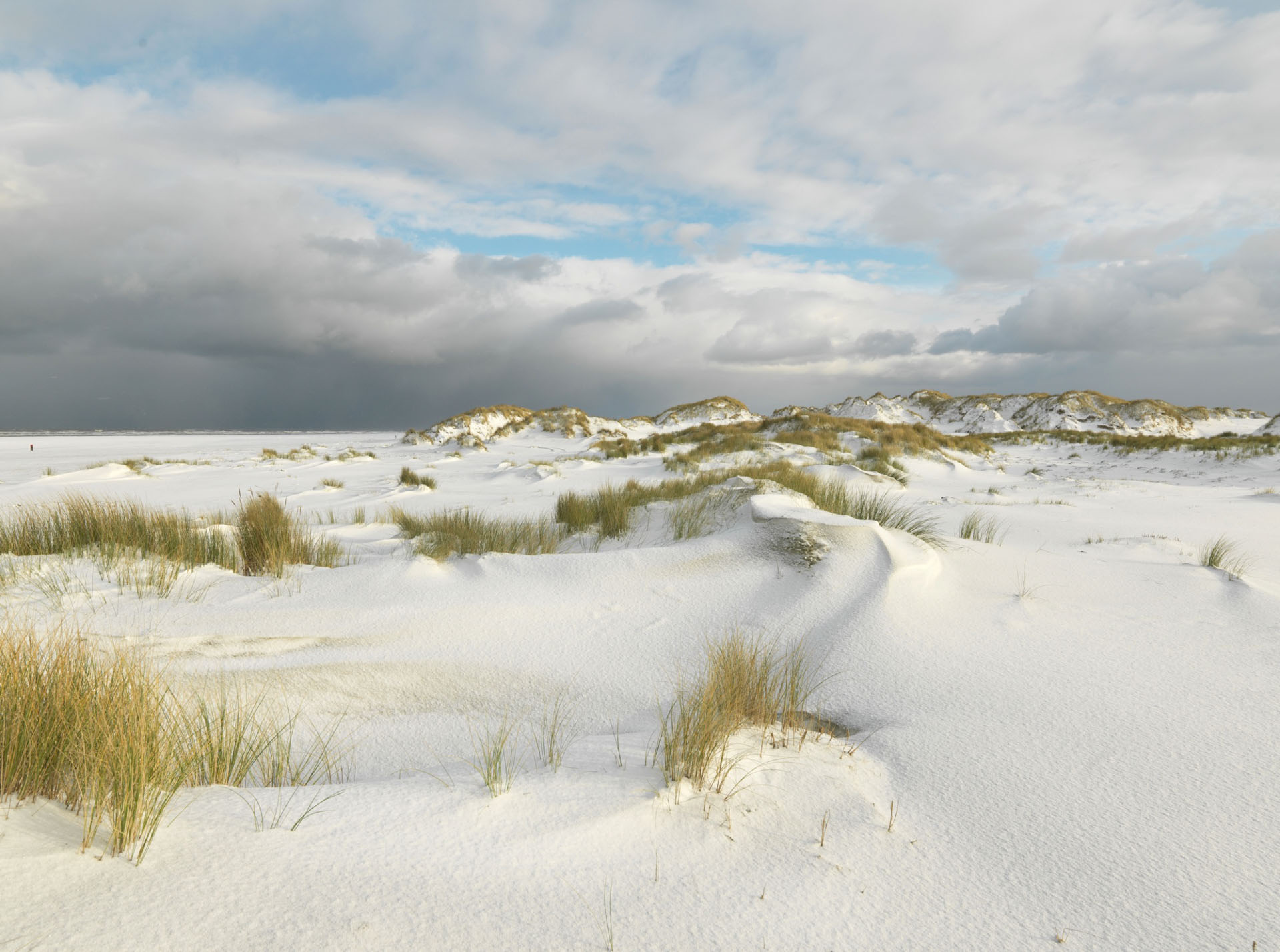 Snow-covered dunes and grass beneath winter clouds