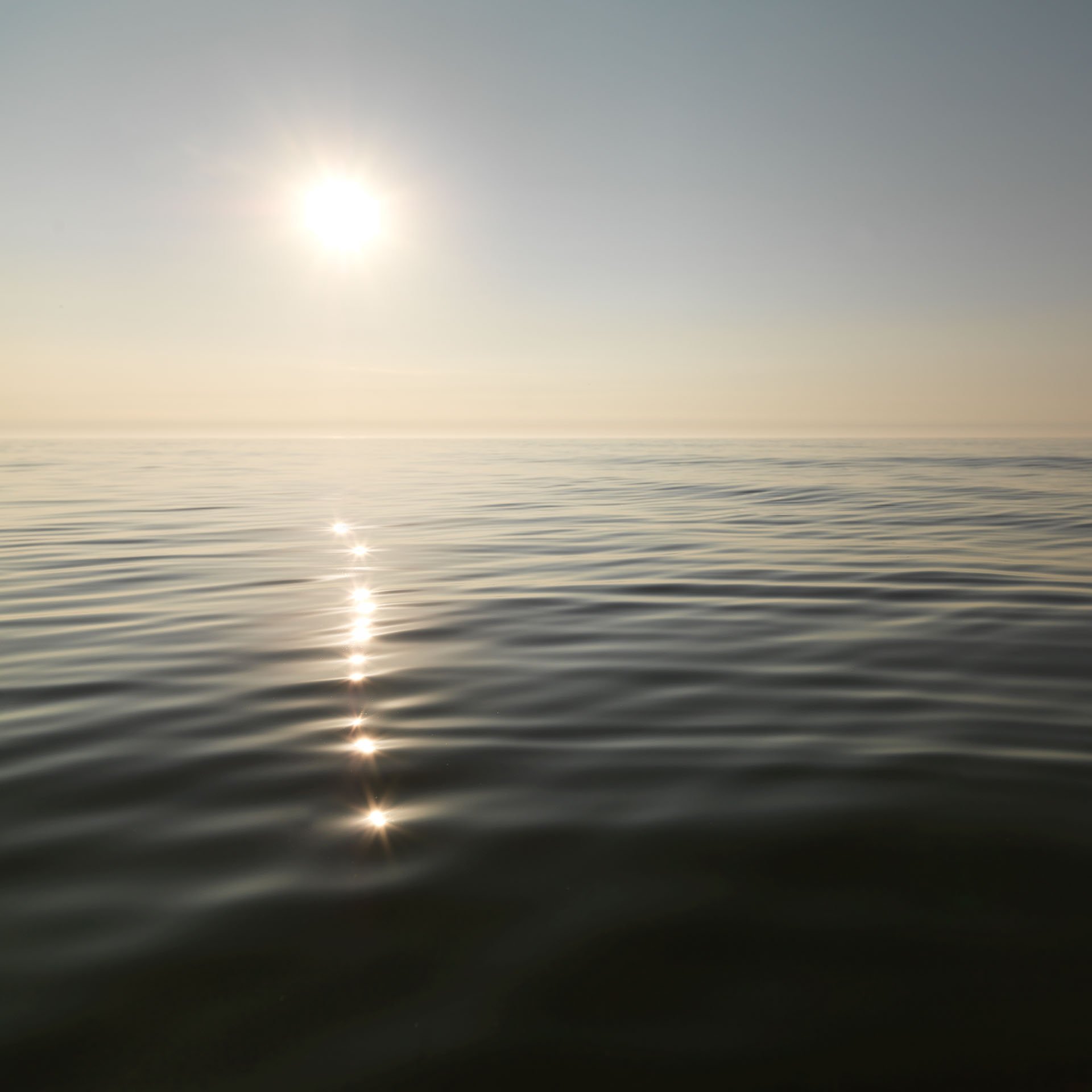 Sun reflected on gently rippling water