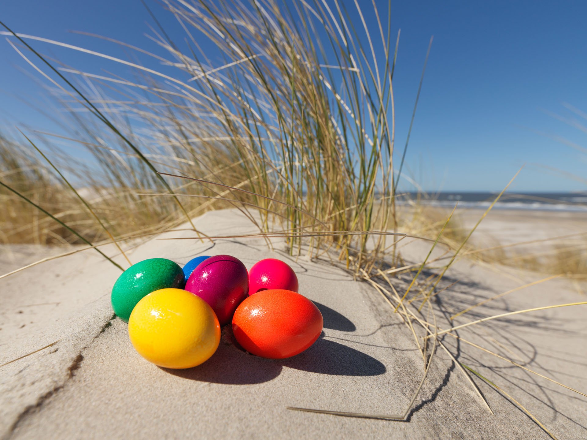 Colourful eggs in the sand beside dune grass