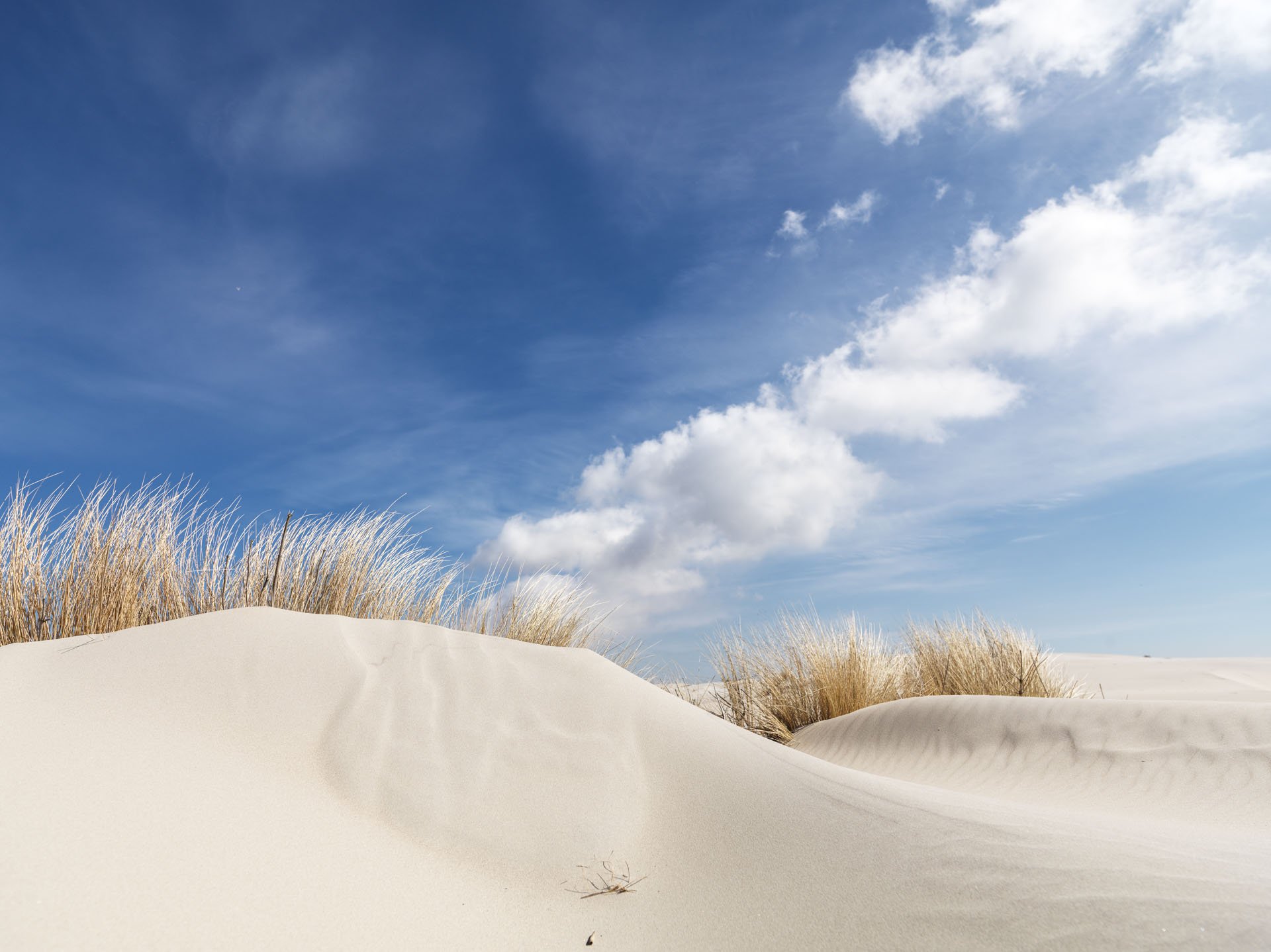 Pale dunes and grasses beneath white clouds
