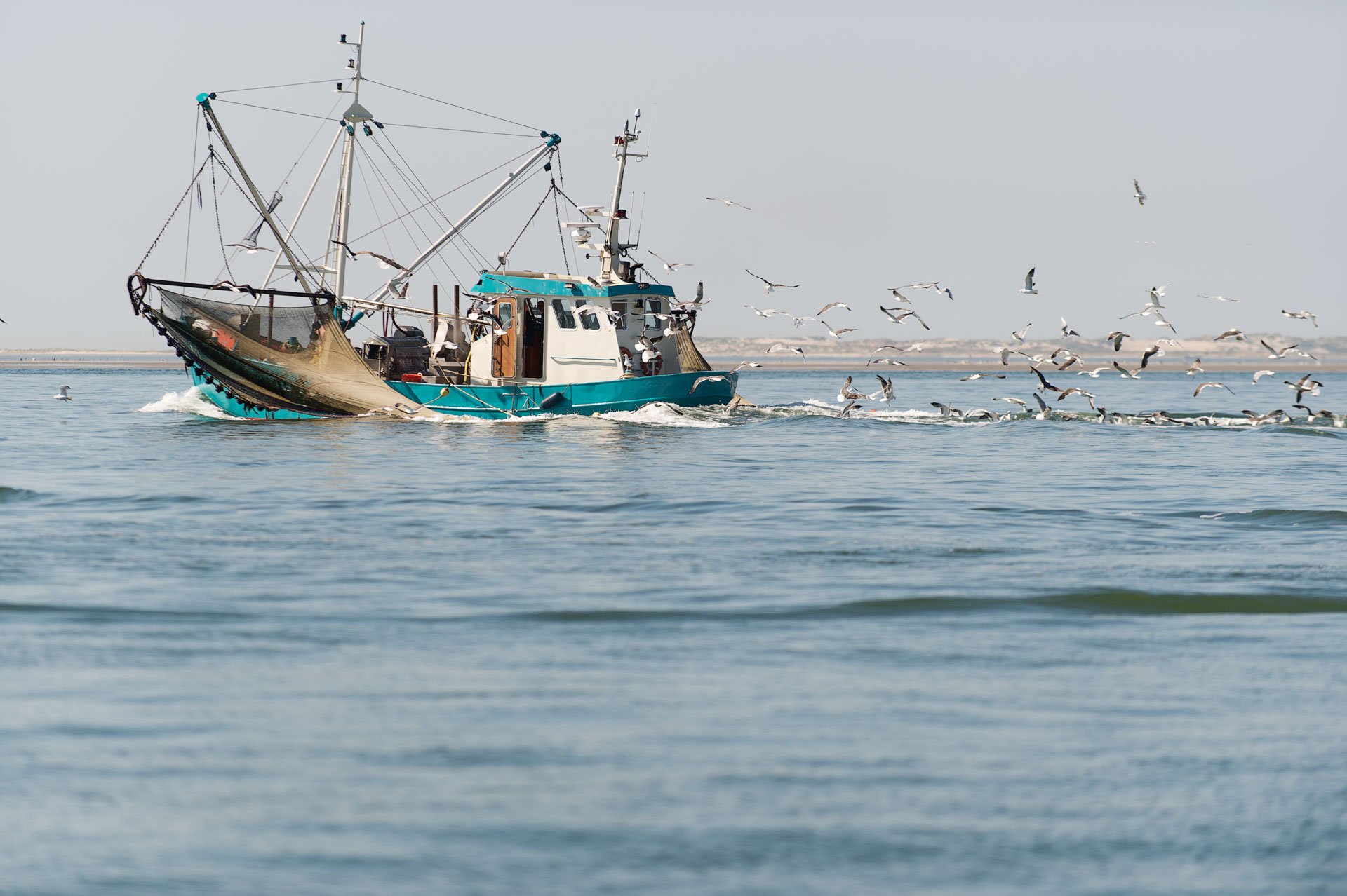 Fishing boat at sea surrounded by birds