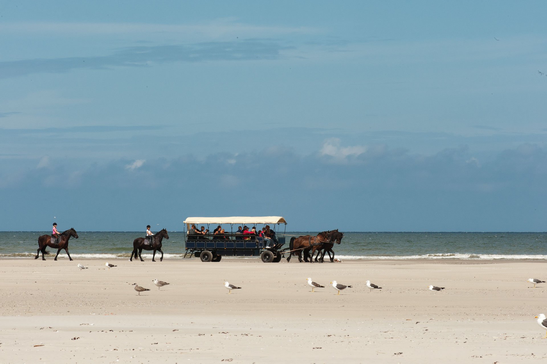 Horse-drawn carriage and riders on a wide beach